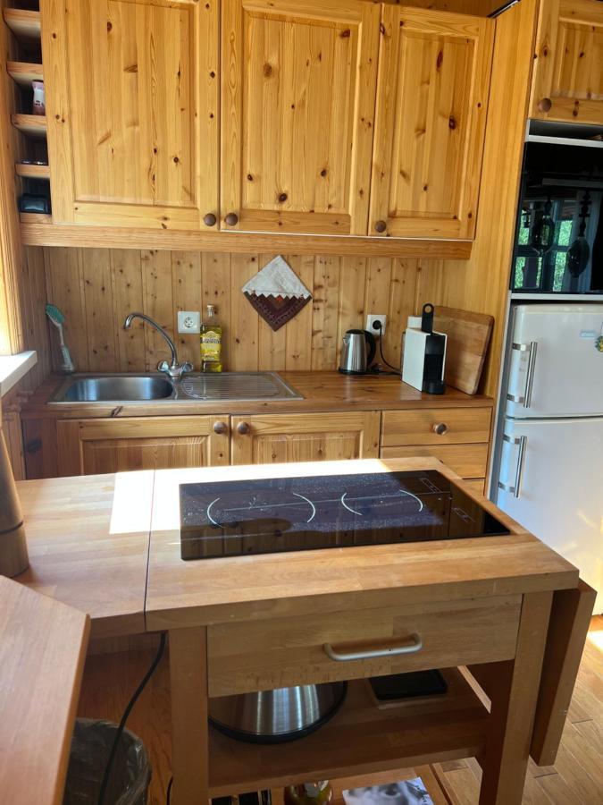 Summerhouse Vaglaskogur Akureyri Kültér fotó