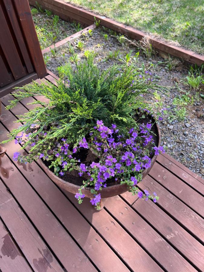Summerhouse Vaglaskogur Akureyri Kültér fotó