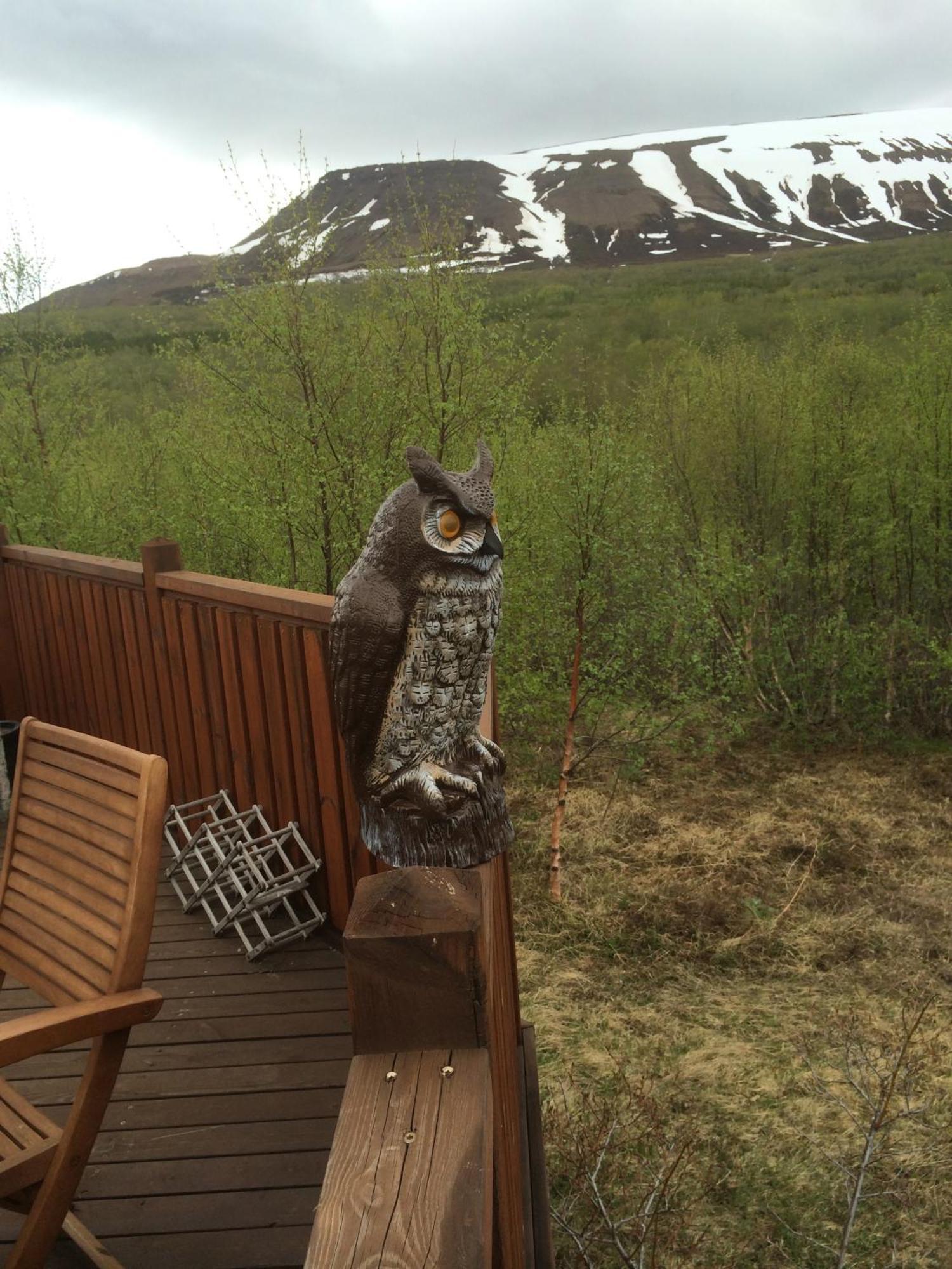 Summerhouse Vaglaskogur Akureyri Kültér fotó